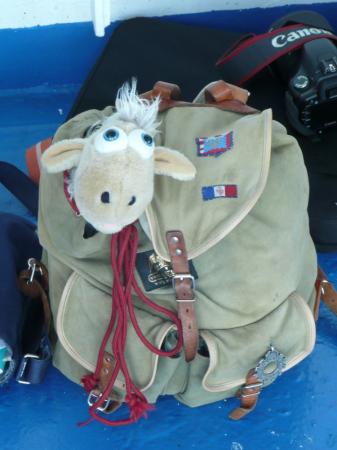 Eddy, aquaphobe, s'est sagement planqué.