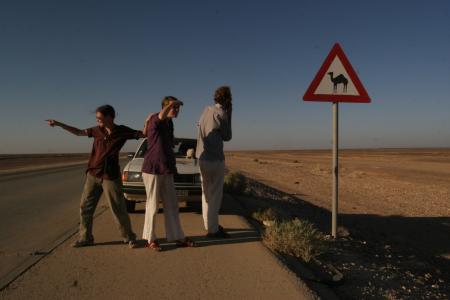 Il est où le dromadaire ?