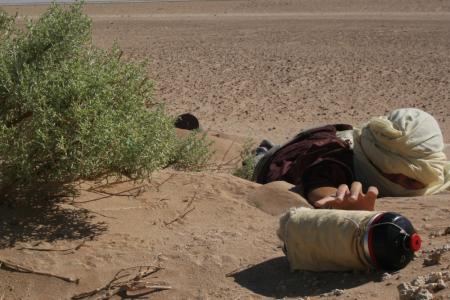 Bon, d'accord, nous sommes débiles.