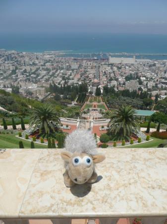 Eddy se convertit au baalisme, à Haifa