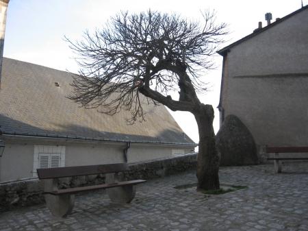 L'arbre blanc du Gondor... en gris.