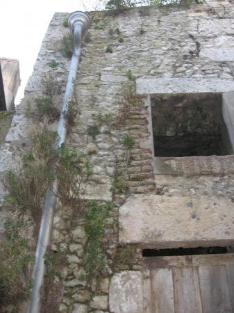 Lierre et fenêtre morte dans les degrés Saint Loui