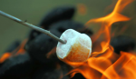 camping-chamallow-marshmallow-au-feu-de-bois.png